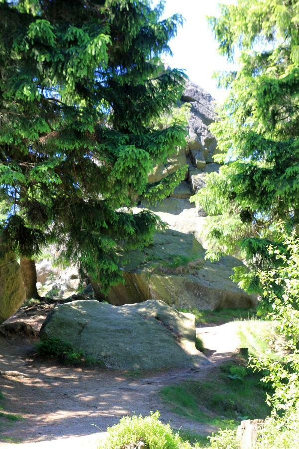 An Der Bremke Appartement Herzberg am Harz Buitenkant foto